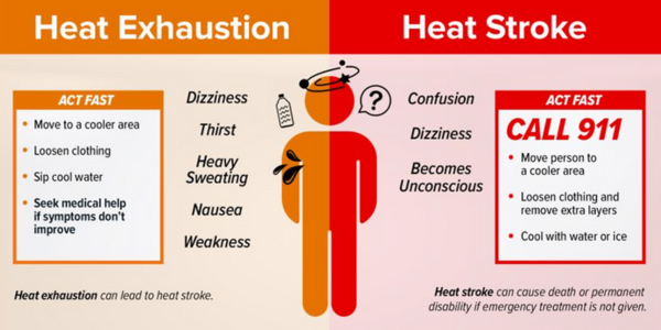 Heat Exhaustion and Heat Stroke Graphic