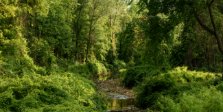 Environment and Energy Environment and Energy