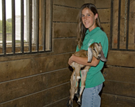 Volunteer holds a goat inside the Kidwell Farm barn
