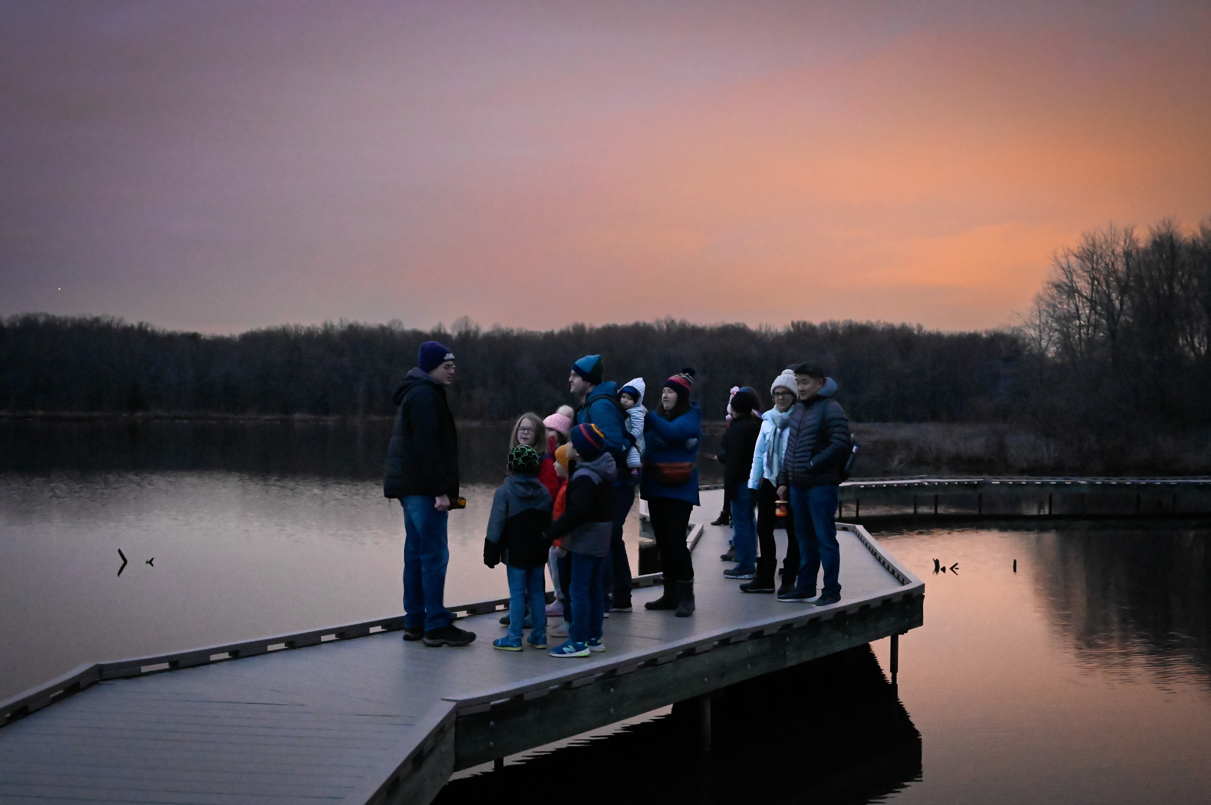 Explore Natural Winter Wonders with Fairfax County Parks