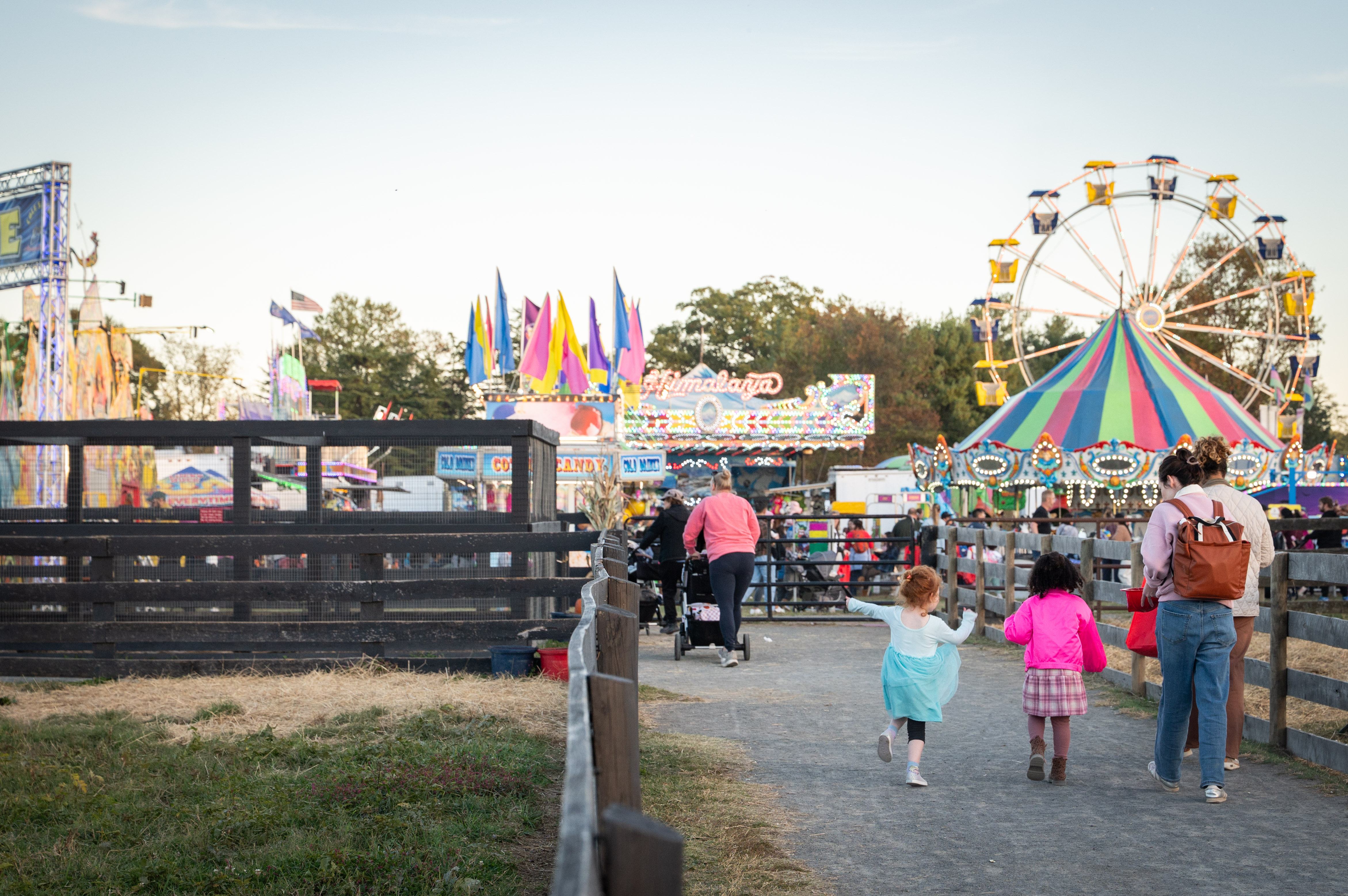 Carnival Ride Ticket Sales Image