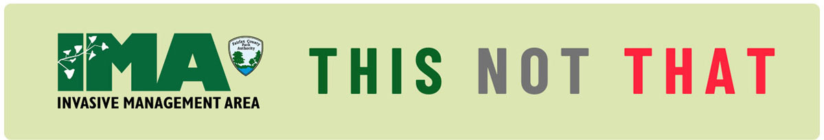 invasive management area this not that