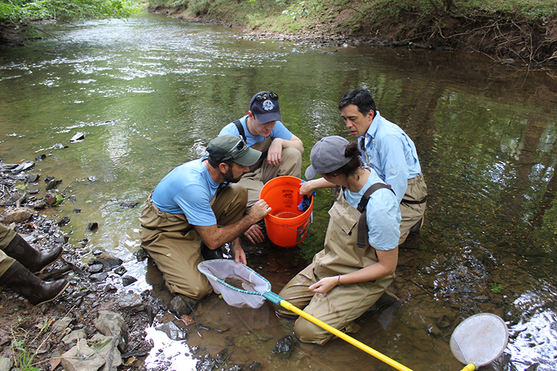Assessing Water Quality