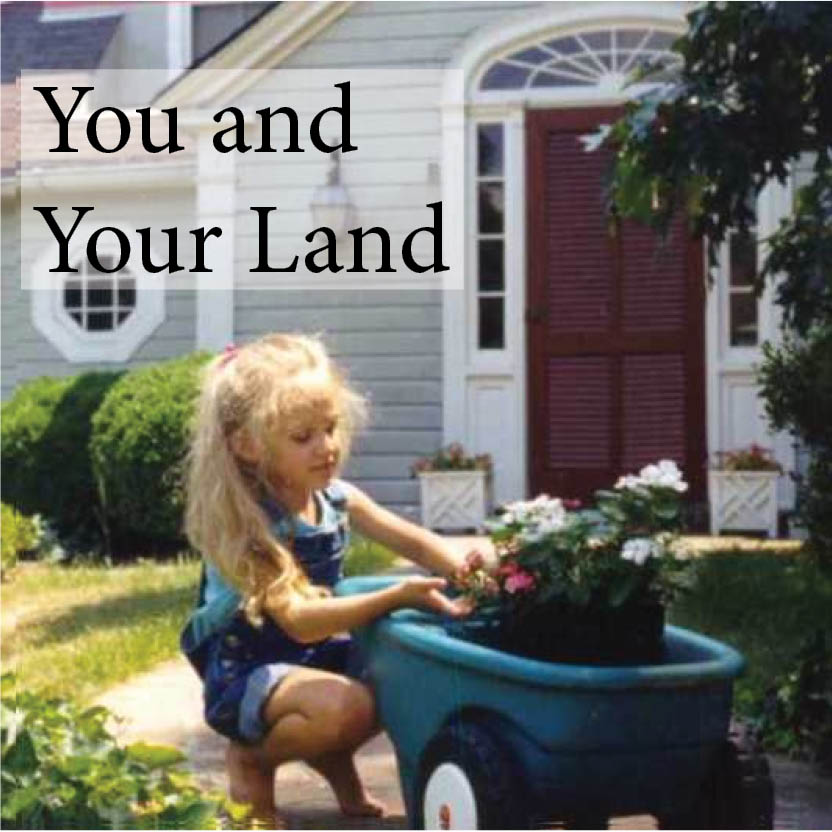 You and Your Land book cover
