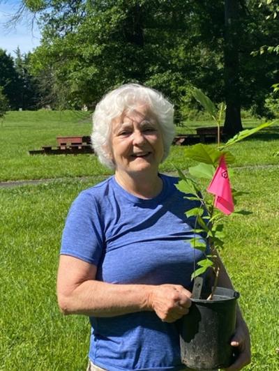 Individual holding potted tree